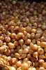 Cebula szalotka żółta Golden Gourment 250 g