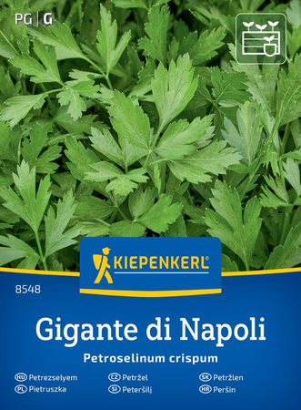 Pietruszka naciowa Gigante Di Napoli - Kiepenkerl