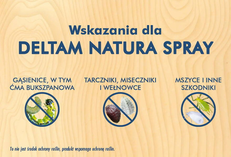 Domyślna nazwa