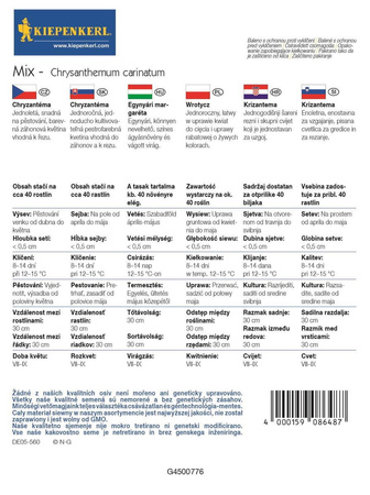 Złocień Chryzantema mieszanka