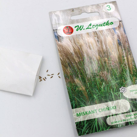Miskant chiński – 0,05 g Legutko