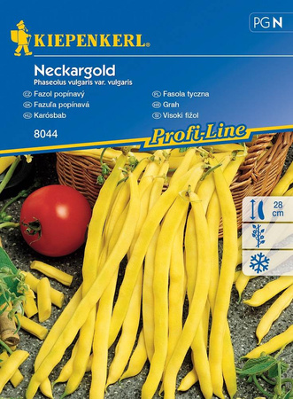 Fasola tyczna Neckargold Phaseolus vulgaris var. vulgaris