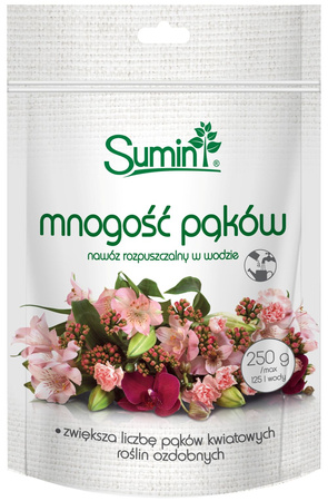 Domyślna nazwa