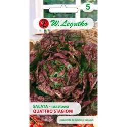 Sałata 'Quattro Stagioni' – 1 g Legutko