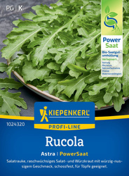 Rukola Astra, nasiona otoczkowane Kiepenkerl