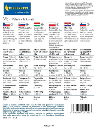 Roszponka Vit Valerianella locusta