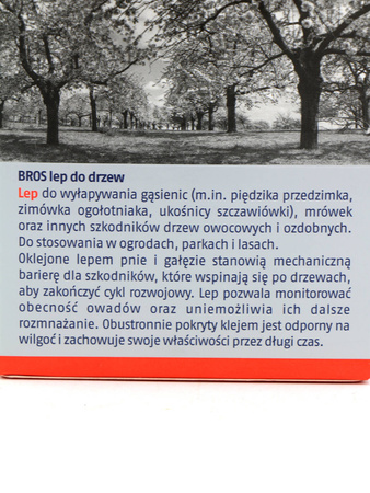 Domyślna nazwa