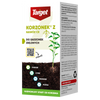 Korzonek Z 30 ml ukorzeniacz do roślin zielonych