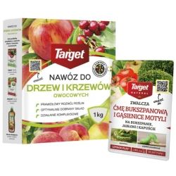 Domyślna nazwa