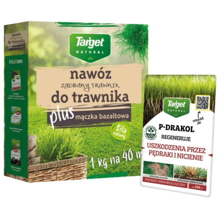 Domyślna nazwa