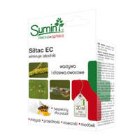 20 ml