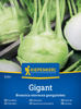 Kalarepa Gigant Brassica oleracea var. gongylodes