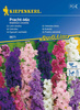 Ostróżka letnia Pracht - Mix Delphinium consolida