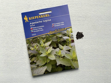 Mięta koreańska - Kiepenkerl