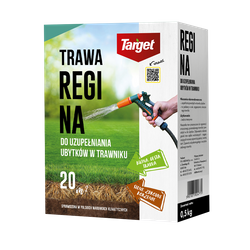 Regina 500 g nasiona trawy do uzupełniania ubytków w trawniku
