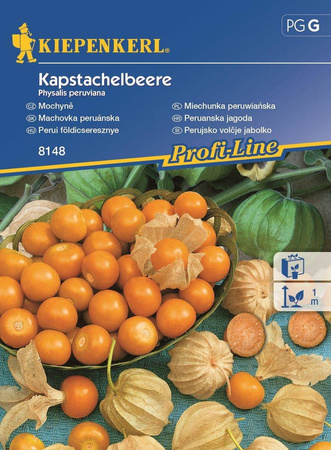 Miechunka peruwiańska