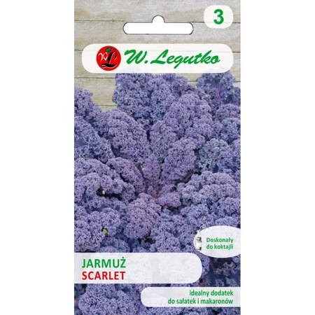 Jarmuż Czerwony Scarlet 1 g - Legutko