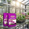 Zestaw 2x Substral Podłoże Do Orchidei 3 l