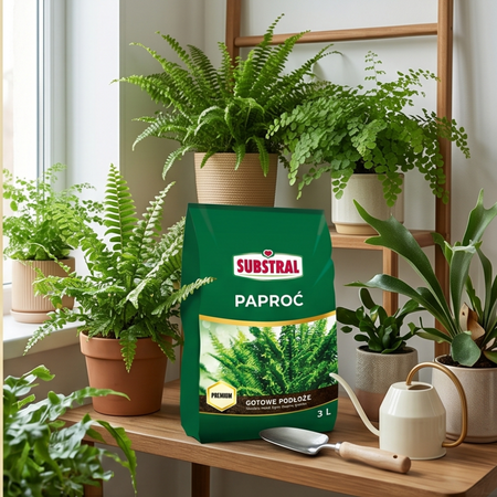 SUBSTRAL podłoże PAPROĆ 3L