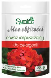 Domyślna nazwa