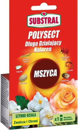 Domyślna nazwa