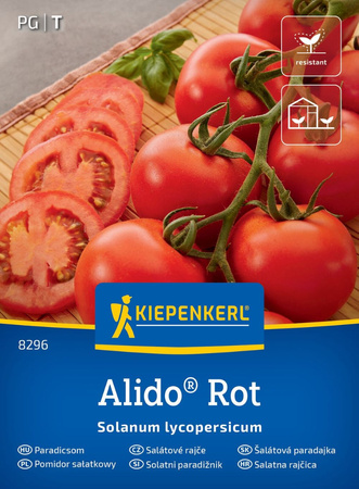 Pomidor Sałatkowy Bocati – Kiepenkerl