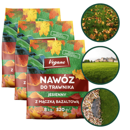 Domyślna nazwa