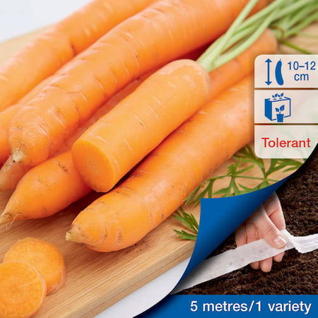 Marchew Mokum – Kiepenkerl