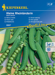 Groch łuskowy ,,Kleine Rheinländerin’’ – Kiepenkerl