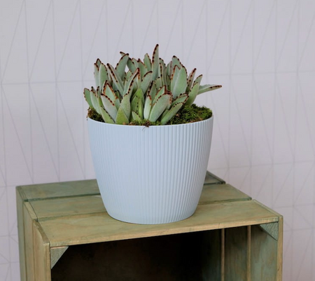 Osłonka-Doniczka Magnolia Eco Wood 190 Jumper Biała
