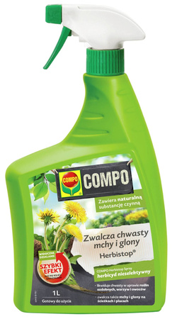 Domyślna nazwa
