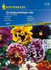 Bratek Orchideenblütiger Mix Viola x wittrockiana