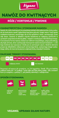 Domyślna nazwa
