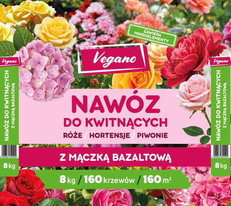 Domyślna nazwa