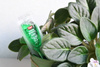 Odżywka do roślin zielonych Green Energy 35 ml Target