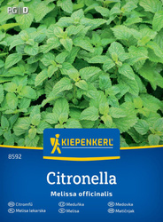Melisa cytrynowa wieloletnia Melissa officinalis