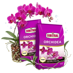 Zestaw 2x Substral Podłoże Do Orchidei 3 l