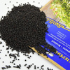 Brokuł Brokkoli - nasiona na microgreens - Kiepenkerl