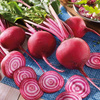 Burak ćwikłowy Chioggia Beta vulgaris var. vulgaris