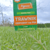 Nasiona trawy – Vegano – trawnik odporny na psa – 1 kg Target