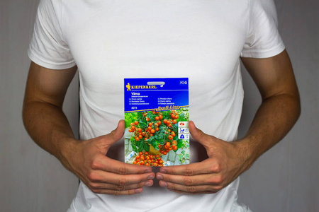 Pomidor Cherry Vilma – Kiepenkerl