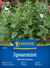 Mięta pieprzowa ,,Spearmint’’- Kiepenkerl