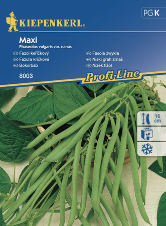 Fasola Zwykła Maxi – Kiepenkerl