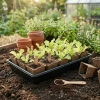 Taca Transportowa do rozsad 56 cm x 31,5 cm Zoigarden