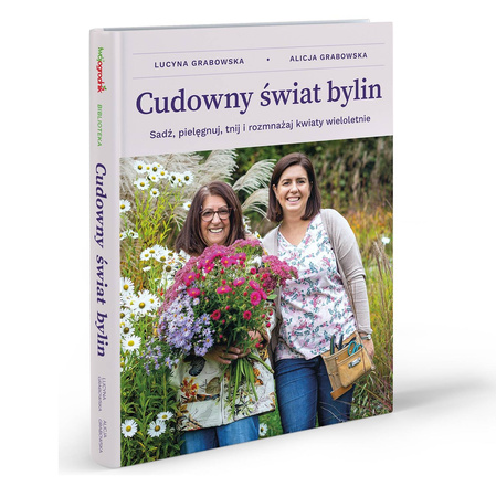Domyślna nazwa