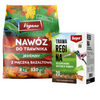 Domyślna nazwa