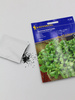 Portulaka pospolita ,,Sommerportulak’’- Kiepenkerl