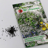 Gipsówka wiechowata – biała – 1 g Legutko
