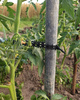 Agro Opaska 10 szt.