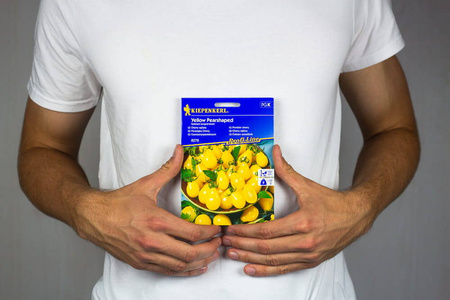 Pomidor Cherry Yellow Pearshaped – Kiepenkerl